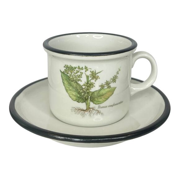 ITALIAN Set (6) Espresso Tea IPA CUPS & SAUCERS Demitasse Botanic Garden Flowers - Picture 8 of 14